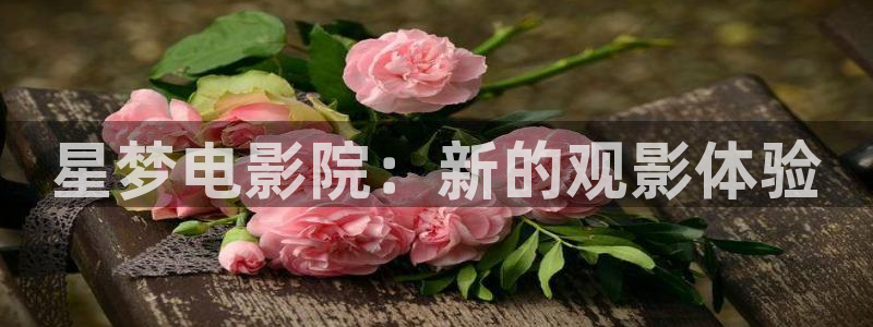 神马第九影院在线观看：星梦电影院：新的观影体验