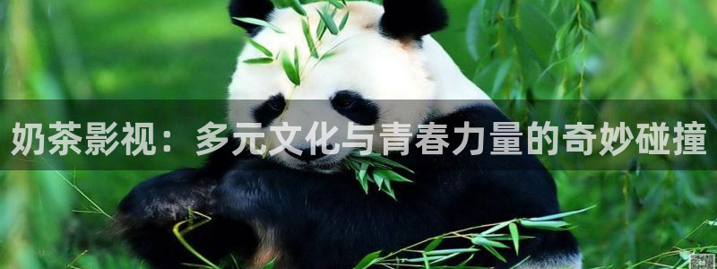 神马第九影院在线观看：奶茶影视：多元文化与青春力量的奇妙碰撞