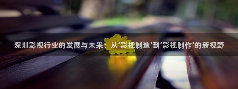 第九最新影院：深圳影视行业的发展与未来：从‘影视制造’到‘影视制作’的新视野
