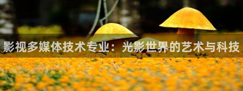 神马影院第九花花：影视多媒体技术专业：光影世界的艺术与科技