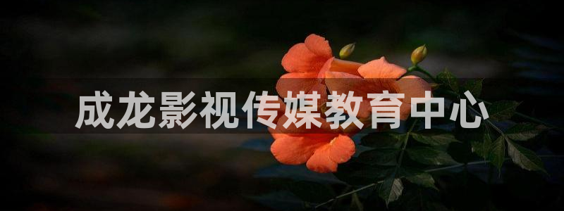 神马伦理第九影院：成龙影视传媒教育中心