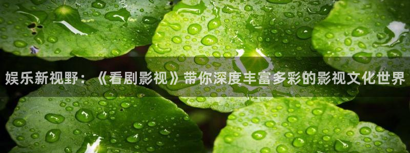 神马第九达达兔影院：娱乐新视野：《看剧影视》带你深度丰富多彩的影视文化世界