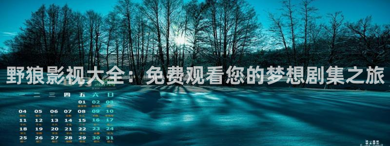 第九影院3040：野狼影视大全：免费观看您的梦想剧集之旅