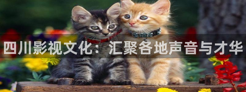 神马影院第九影院：四川影视文化：汇聚各地声音与才华