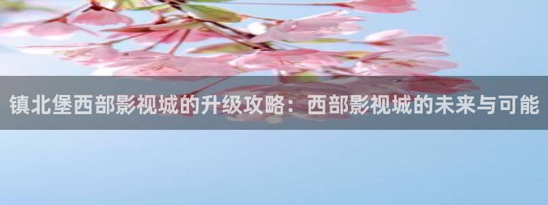 神马影院第九哒哒兔：镇北堡西部影视城的升级攻略：西部影视城的未来与可能