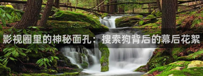 第九影院伦理片：影视圈里的神秘面孔：搜索狗背后的幕后花絮